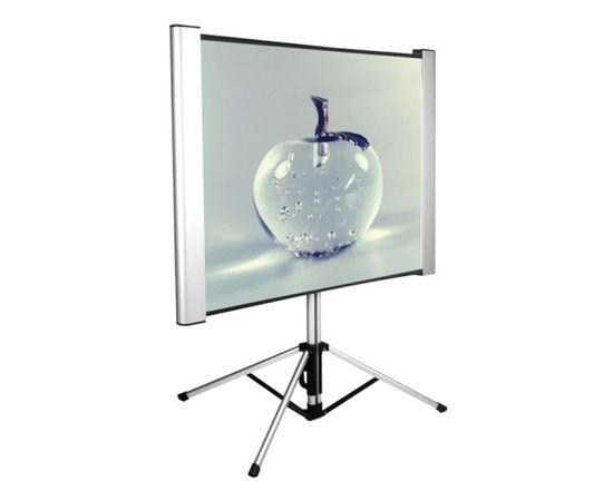  Экран Cactus 102x180см TriAlExpert CS-PSTALE-180X102 16:9 напольный рулонный 