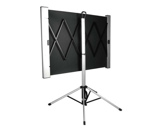  Экран Cactus 102x180см TriAlExpert CS-PSTALE-180X102 16:9 напольный рулонный 