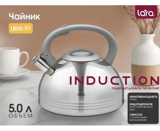  Чайник LARA LR00-97 5л серая ручка 